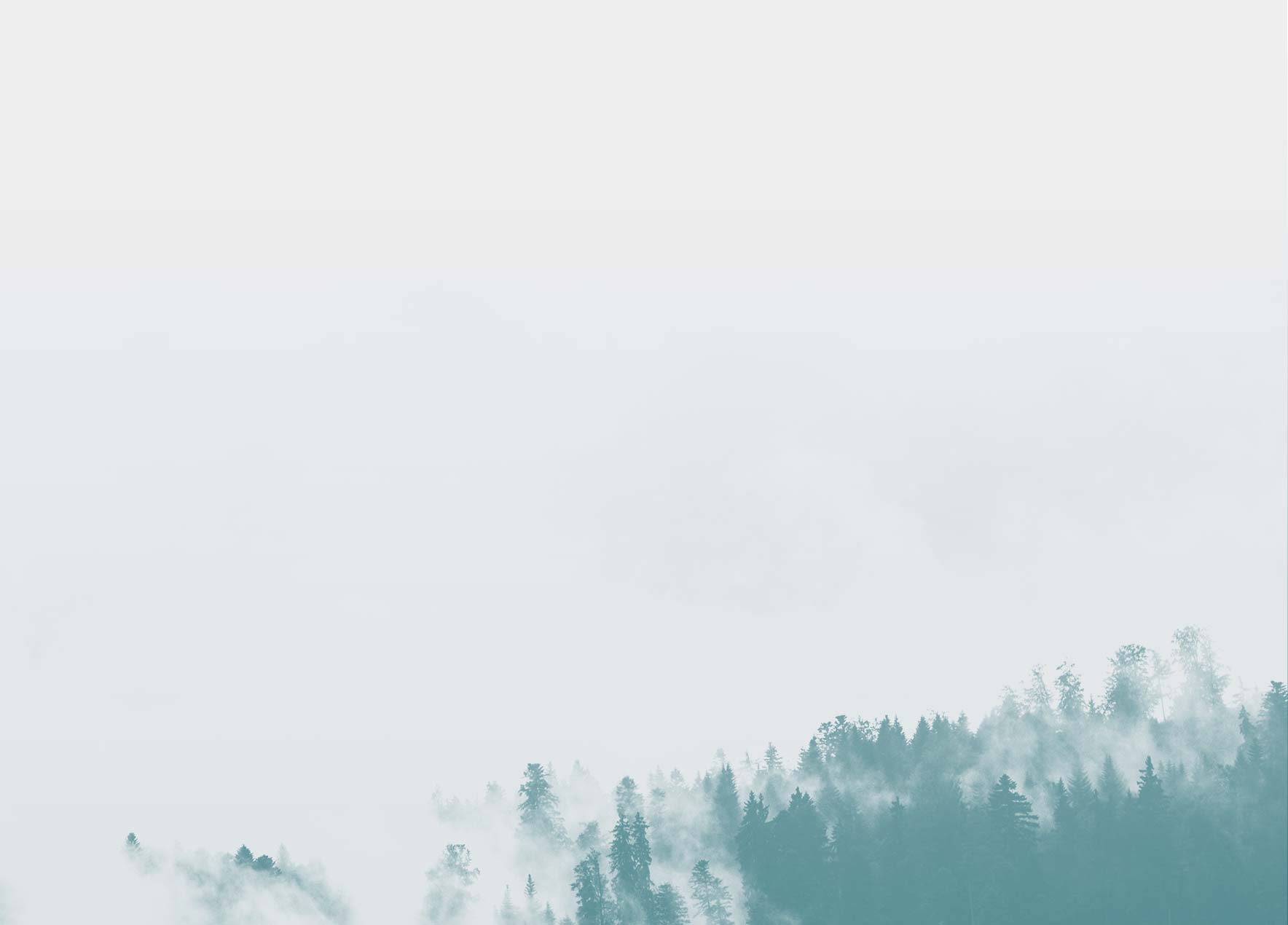 Solū Custom Hardwood photo 5